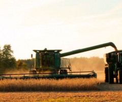 Vaticano incentiva uma agricultura que respeite a pessoa e a criação