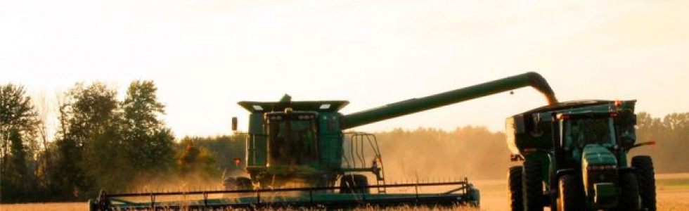 Vaticano incentiva uma agricultura que respeite a pessoa e a criação